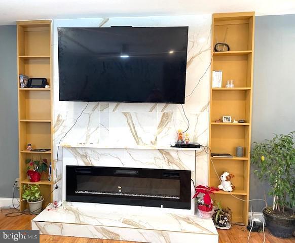 room details with wood-type flooring and a fireplace