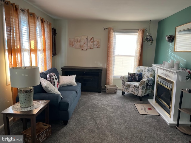 view of carpeted living room