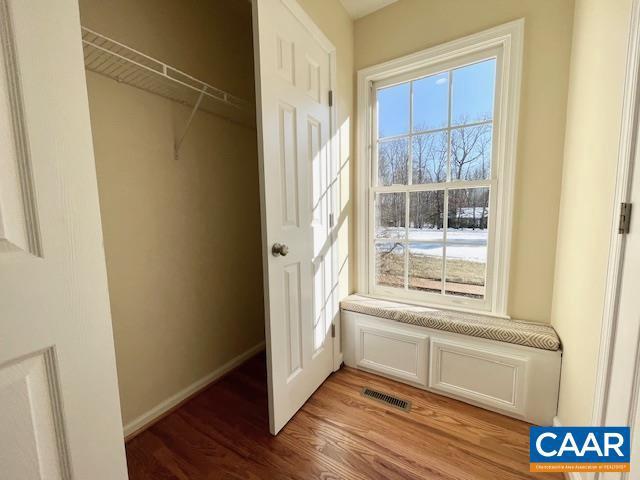 view of closet