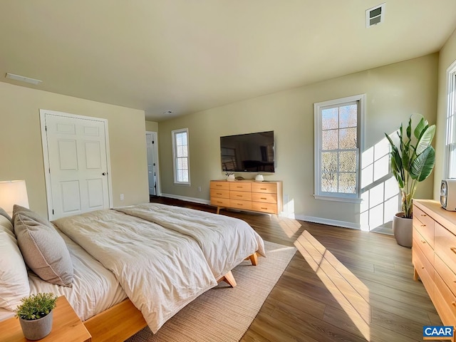 bedroom featuring multiple windows and wood-type flooring