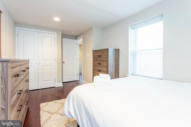 bedroom featuring dark wood-type flooring and a closet