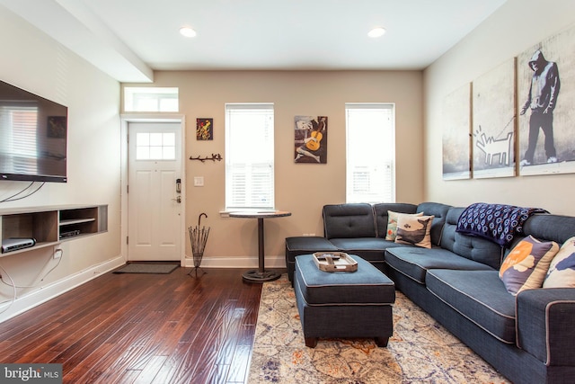 living room featuring dark hardwood / wood-style flooring