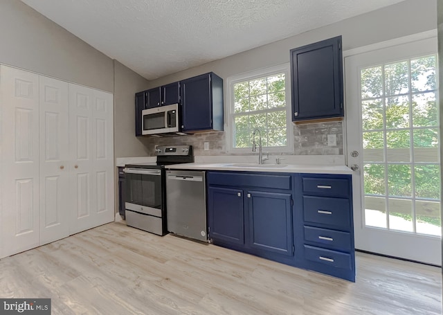 kitchen featuring sink, blue cabinetry, and stainless steel appliances