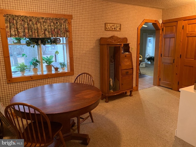 view of carpeted dining space