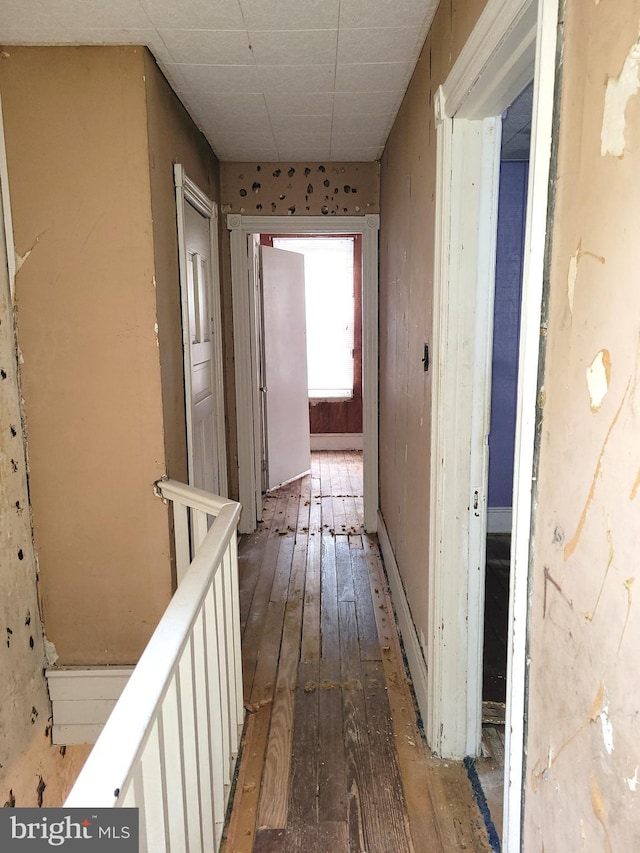 hallway featuring hardwood / wood-style flooring