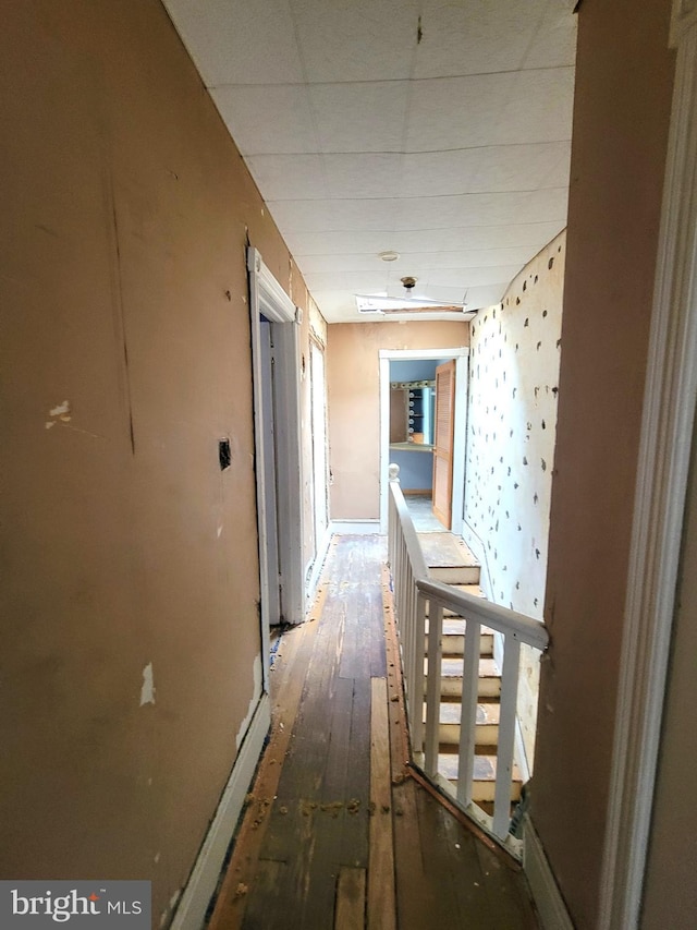 hallway with dark wood-type flooring