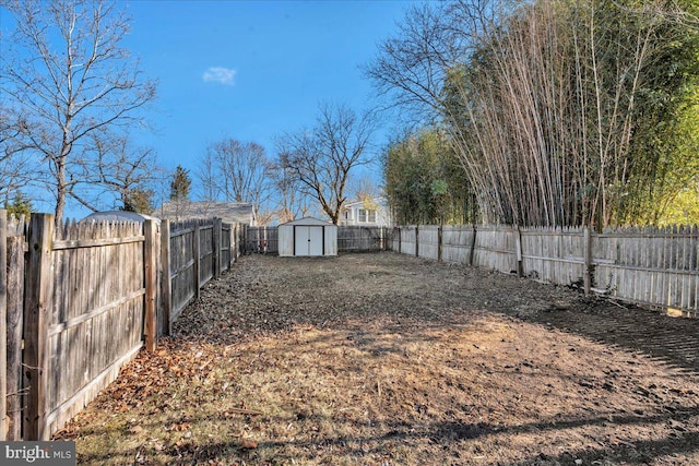 view of yard featuring a shed