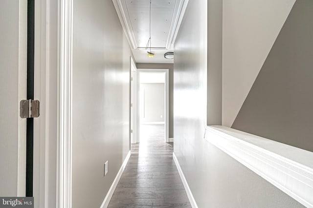 hall with wood-type flooring and crown molding