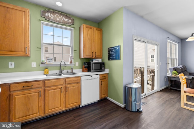 kitchen featuring dishwasher, sink, and dark hardwood / wood-style flooring