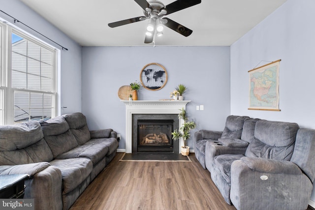 living room featuring ceiling fan and wood-type flooring