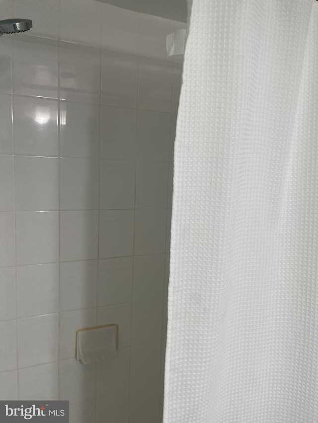 room details with curtained shower