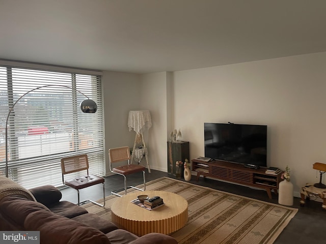 living room featuring wood-type flooring