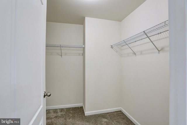 spacious closet with dark carpet