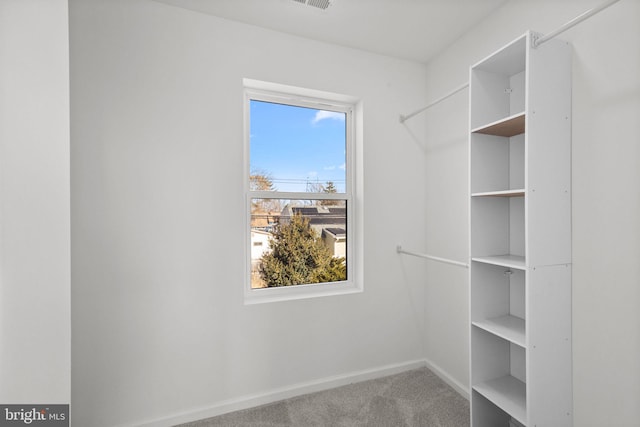 spacious closet featuring carpet flooring