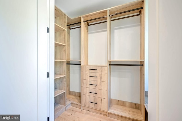 spacious closet with light hardwood / wood-style flooring