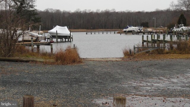 dock area featuring a water view