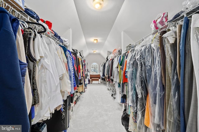 walk in closet featuring vaulted ceiling and carpet flooring