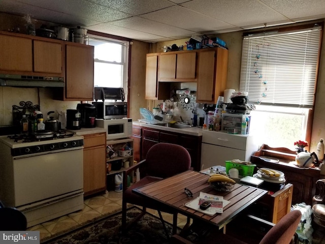 kitchen with sink, a drop ceiling, a wealth of natural light, and white appliances