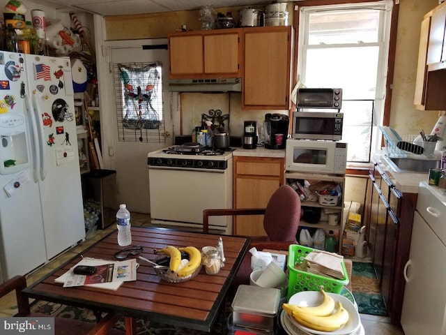 kitchen with a healthy amount of sunlight, sink, and white appliances