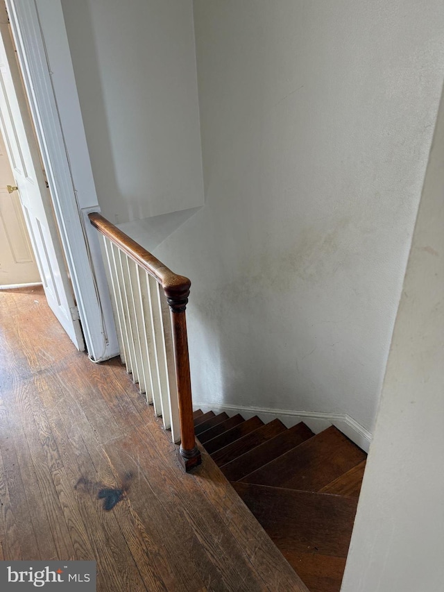 stairway with hardwood / wood-style flooring