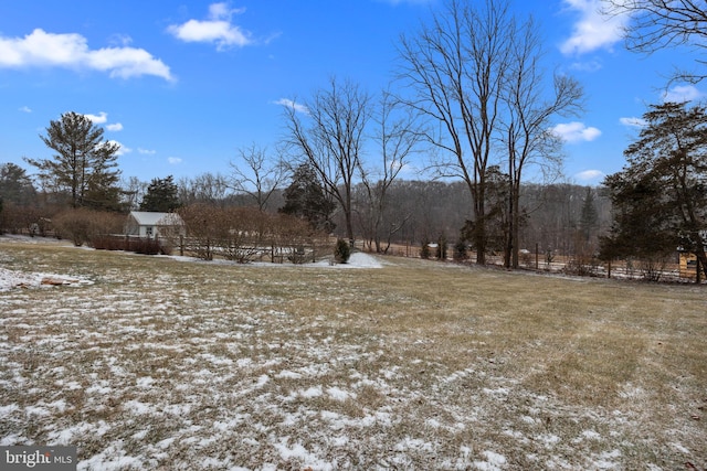 view of yard covered in snow