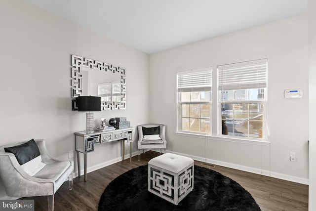 living area featuring dark wood-type flooring