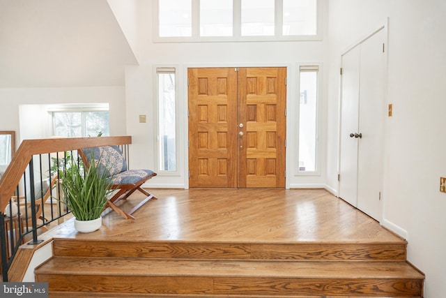 entrance foyer with a high ceiling and hardwood / wood-style flooring