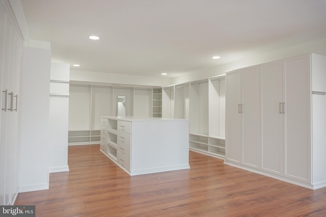 walk in closet featuring wood finished floors