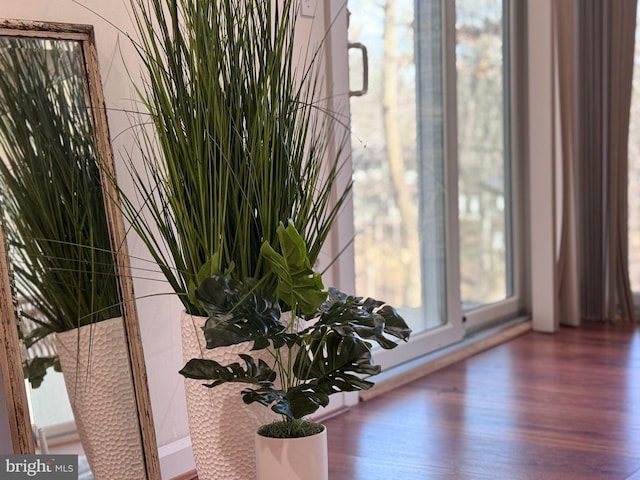 interior details with wood finished floors