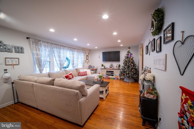 living room with light wood-type flooring