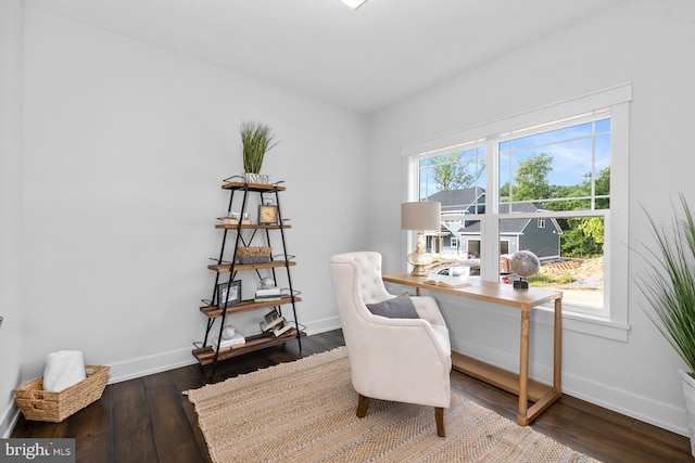 office featuring hardwood / wood-style flooring