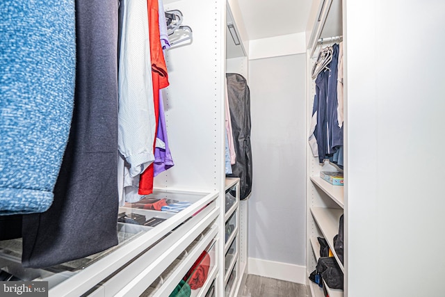 spacious closet with wood-type flooring