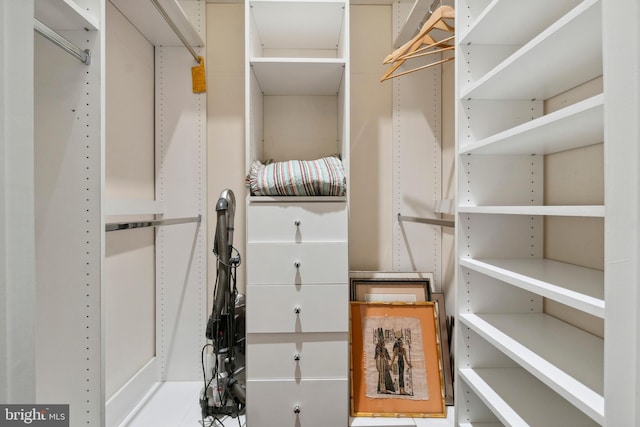 view of spacious closet