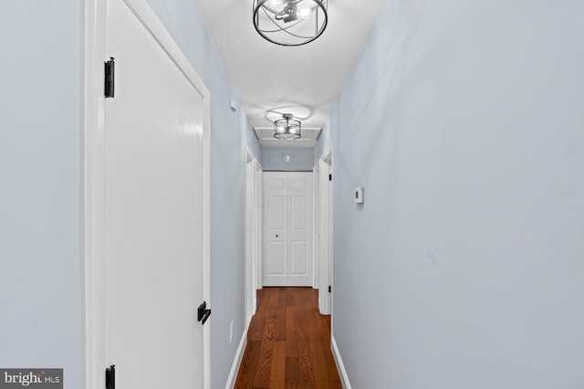 hallway featuring dark hardwood / wood-style flooring