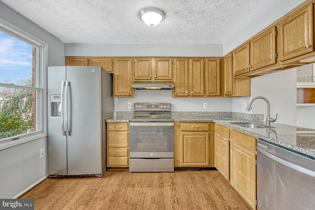 kitchen featuring a wealth of natural light, light stone countertops, appliances with stainless steel finishes, sink, and light hardwood / wood-style flooring