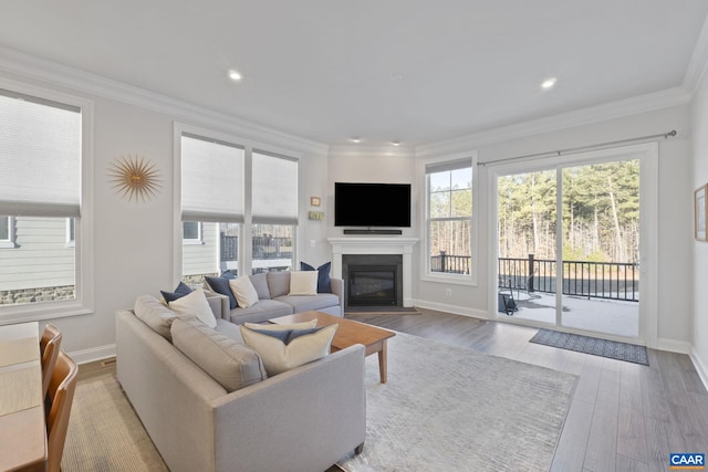 living room with crown molding and light hardwood / wood-style floors