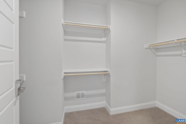 spacious closet with light colored carpet