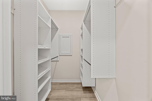 spacious closet featuring light hardwood / wood-style floors