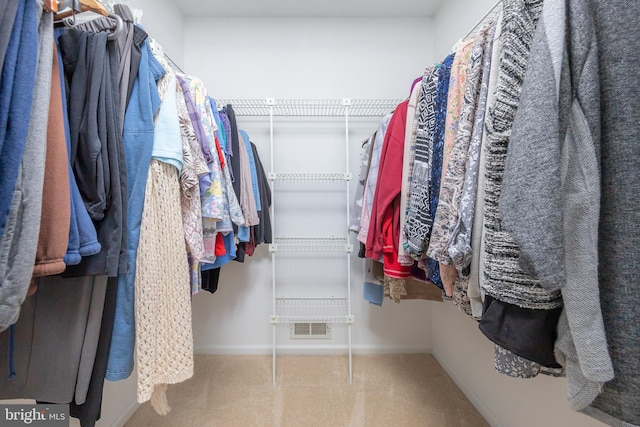 walk in closet featuring carpet flooring