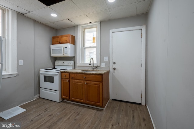 kitchen featuring sink, white appliances, a drop ceiling, and light wood-type flooring