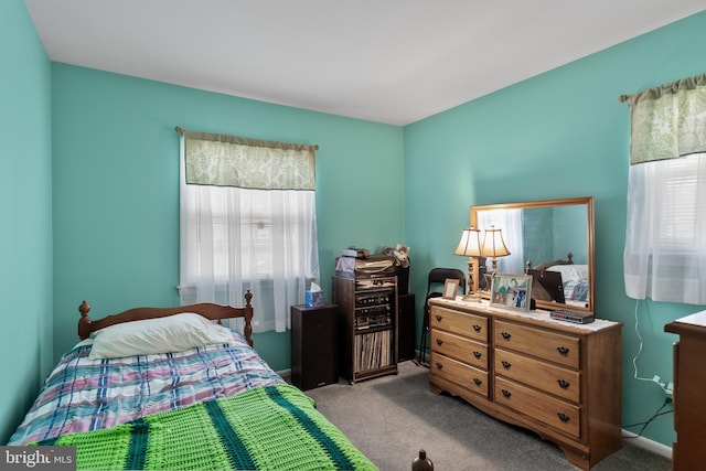 carpeted bedroom with multiple windows