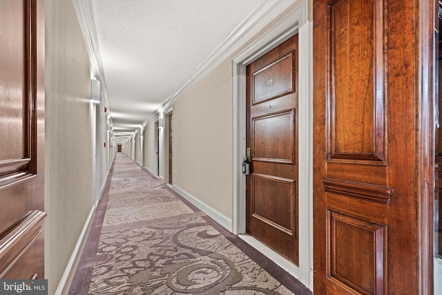 hall featuring crown molding and a textured ceiling