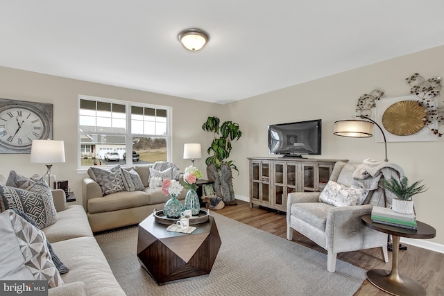 living room featuring wood-type flooring