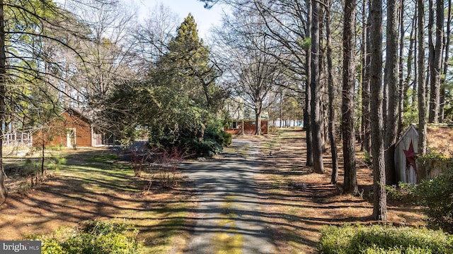 7705 Quaker Neck Rd, Bozman, MD 21612 - view of dirt / gravel driveway