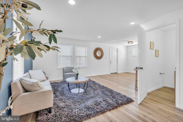 living room featuring light hardwood / wood-style floors