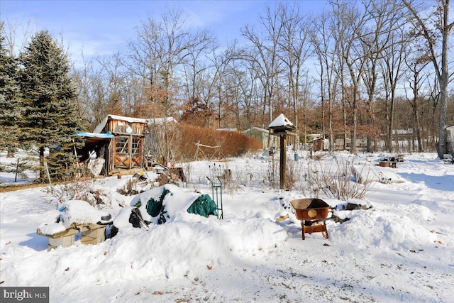 view of yard covered in snow