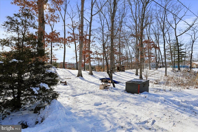 view of snowy yard