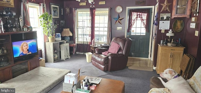 carpeted living room featuring radiator