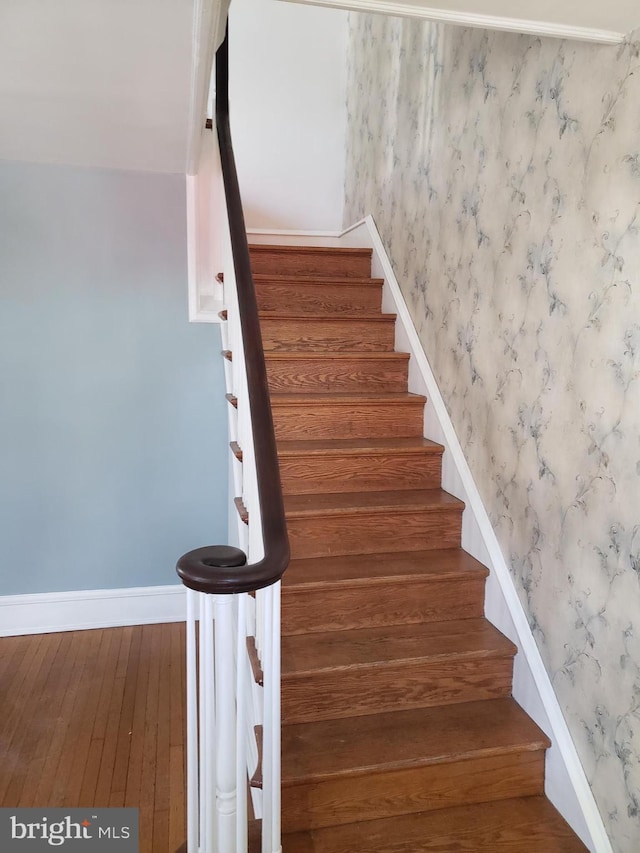 stairway featuring hardwood / wood-style flooring