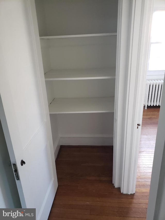 closet with radiator heating unit